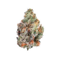 Jelly Rancher