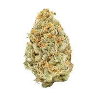 Strawberry Guava