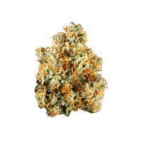 Hawaiian Diesel