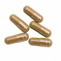 Fuzsy Enhanced Mitragynine Botanicals 35mg 5pk