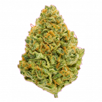 Flying Horse Joy Red THCA 1g Flower Super Sour Diesel