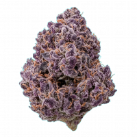 Flying Horse Joy Red THCA 1g Flower - Purple Panty