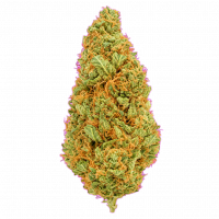 Petalz Exotic THC-A 112g Flower - Sativa