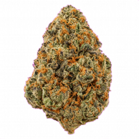 Smoke Daddy THC-A 1/4lb Flower - Lizard Burger Hybrid (H)