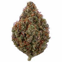 Smoke Daddy THC-A 1/4lb Flower -Tropical Cherry (S)